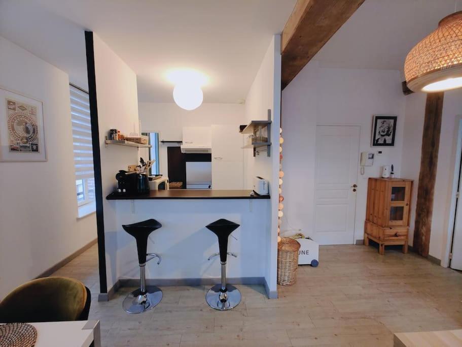 Appartement Lumineux Et Calme Parking Gratuit Lille Exterior photo